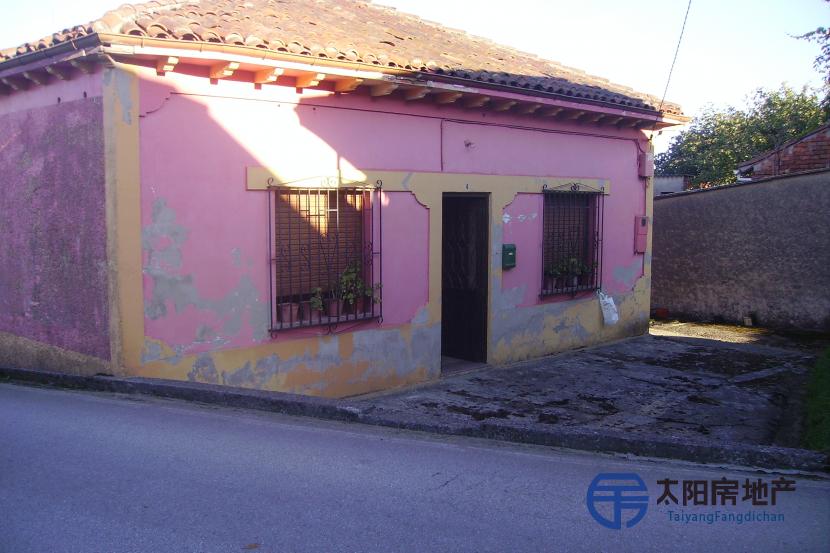 Casa en Venta en La Carrizal (Noreña) (Asturias)