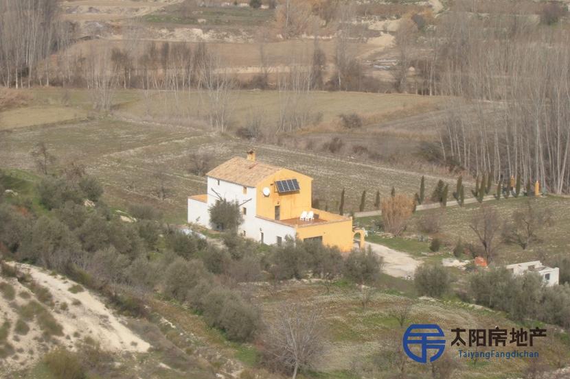 Very large property in Andalusia (Spain)