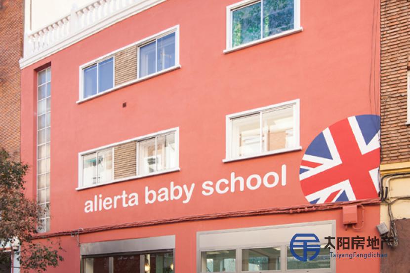ENGLISH SCHOOL FOR SALE                    company and building