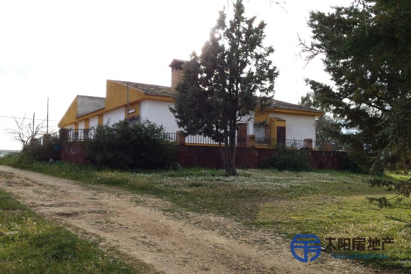 Chalet en Venta en Zalamea La Real (Huelva)