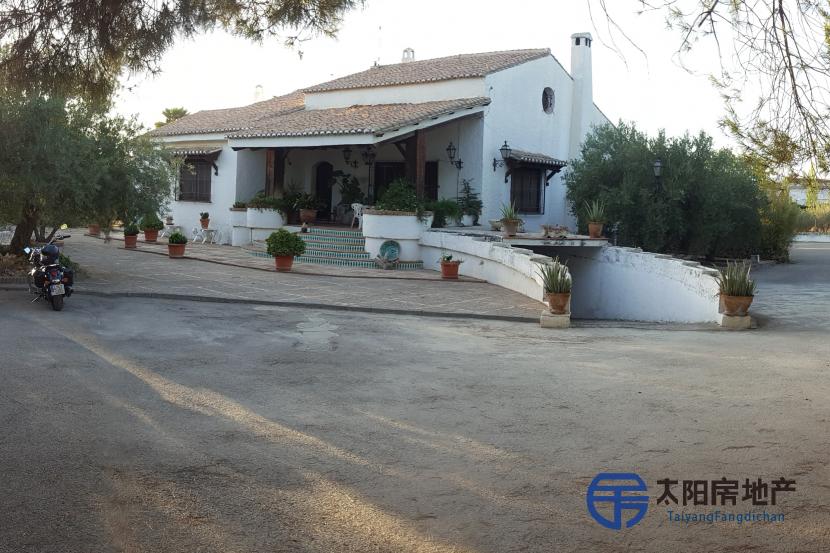 Chalet en Venta en La Zubia (Granada)