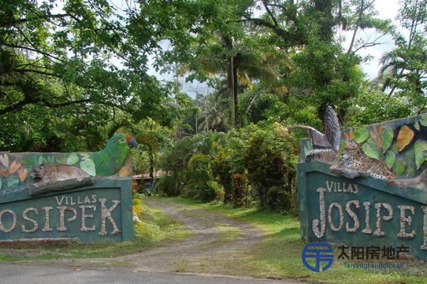 哥斯达黎加VILLAS JOSIPEK酒店带植物园出售