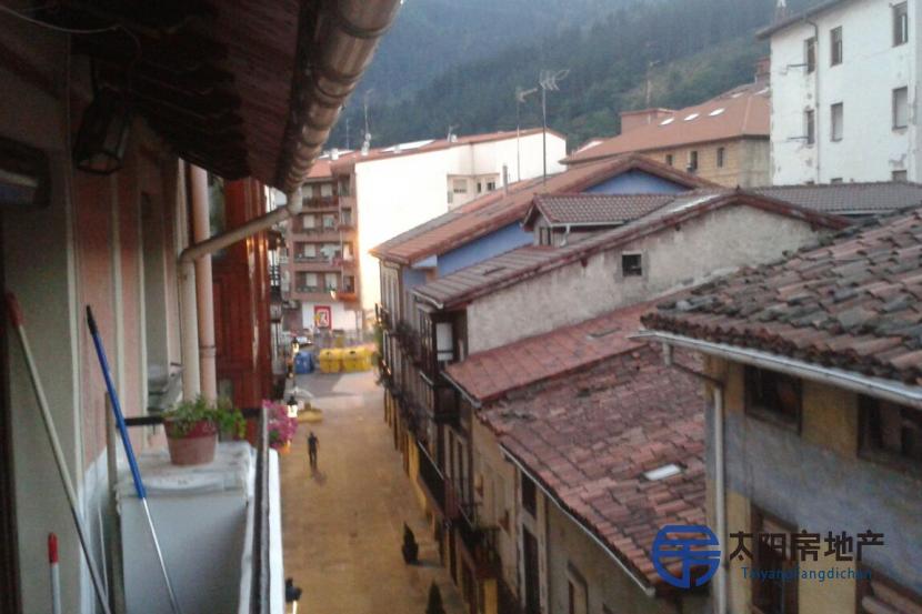 Piso en Venta en Balmaseda (Vizcaya)