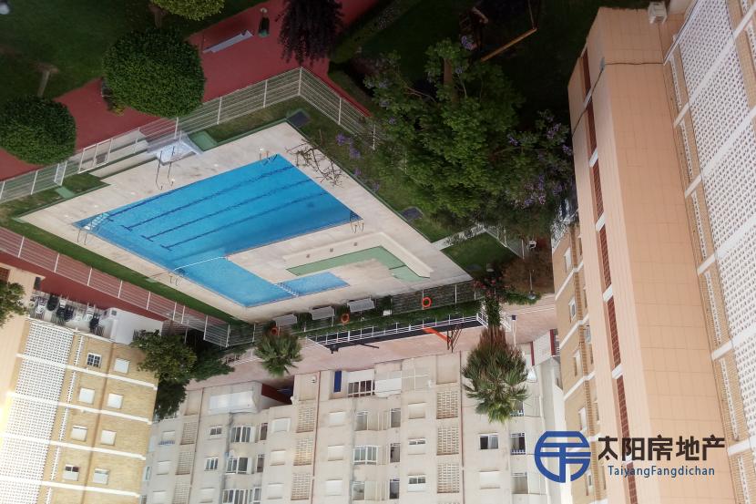 Apartamento en Venta en La Pobla De Farnals (Valencia)