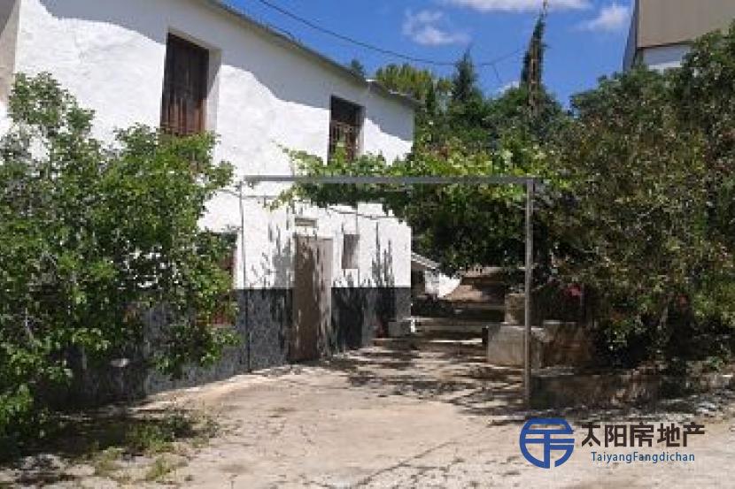 Finca rústica con huerto, casa y piscina.