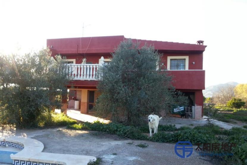 Chalet en Venta en Castellon De La Plana/Castello De La Pla (Castellón)