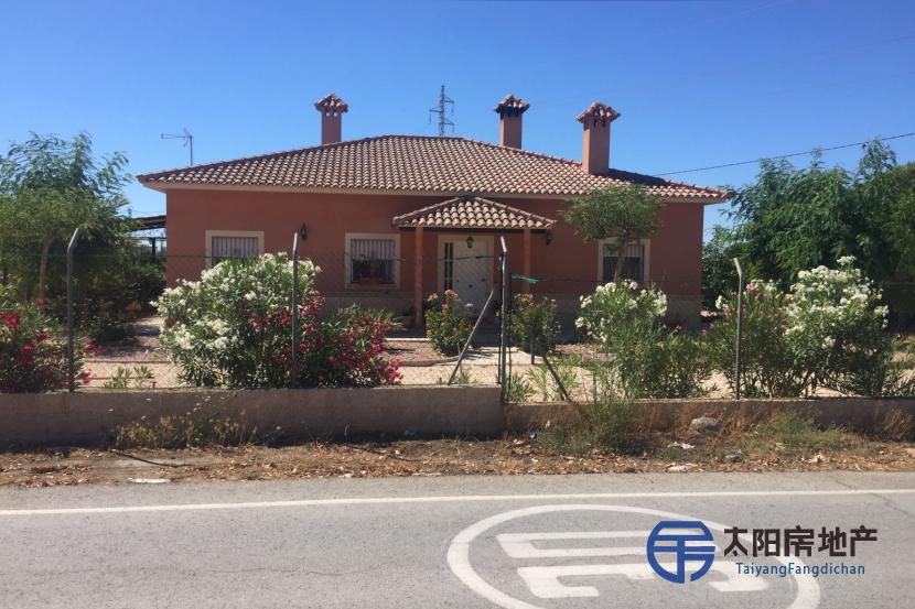 Vivienda Unifamiliar en Venta en Elx/Elche (Alicante)