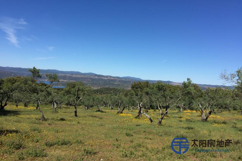 precioso terreno en el Parque  Natural de Sierra de Aracena y Picos de Aroche