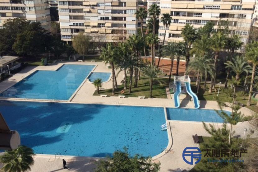 Apartamento en Venta en Alicante/Alacant (Alicante)