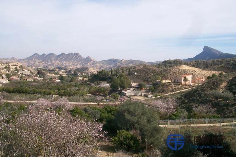 Chalet en Venta en Algezares (Murcia)