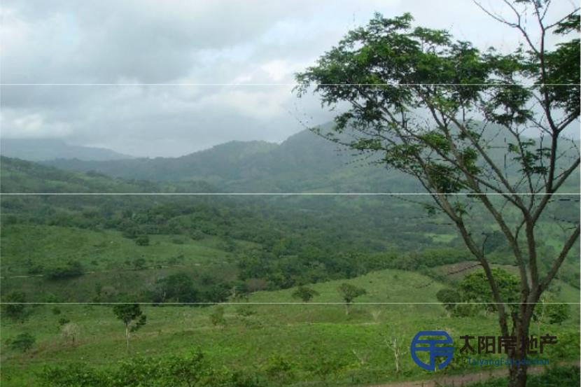 VENDO FINCA EN MATAGALPA NICARAGUA