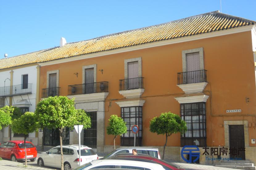 Casa en Venta en Marchena (Sevilla)
