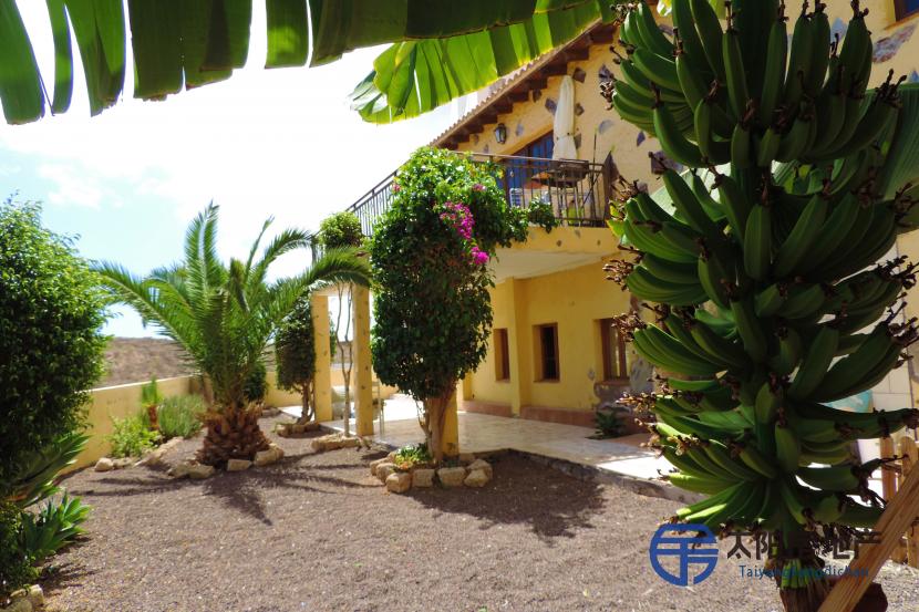 Casa en Venta en San Miguel De Abona (Santa Cruz de Tenerife)