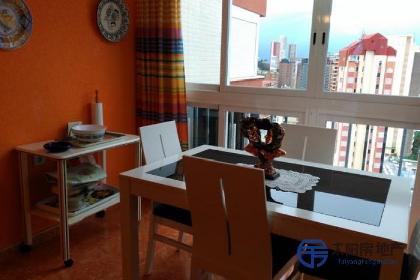 Apartamento en Venta en Benidorm (Alicante)