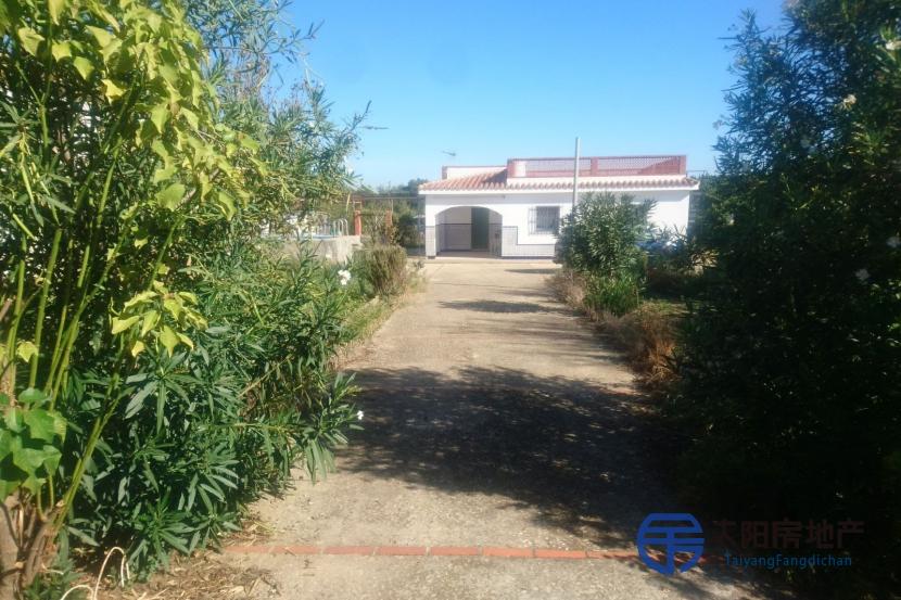 Chalet en Venta en Chiclana De La Frontera (Cádiz)