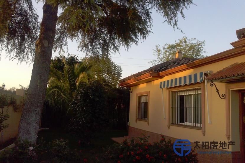 Chalet en Venta en Espartinas (Sevilla)