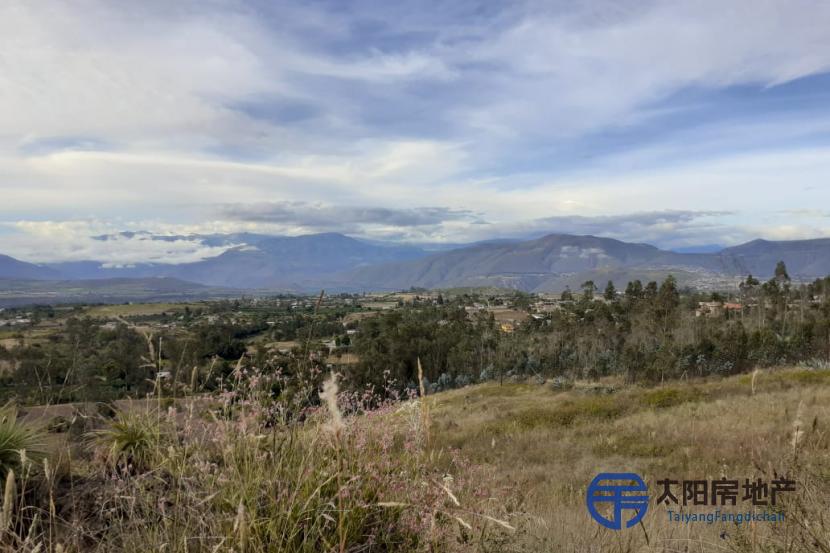 Terreno de 30000 m2 en Natabuela - Ibarra - Ecuador