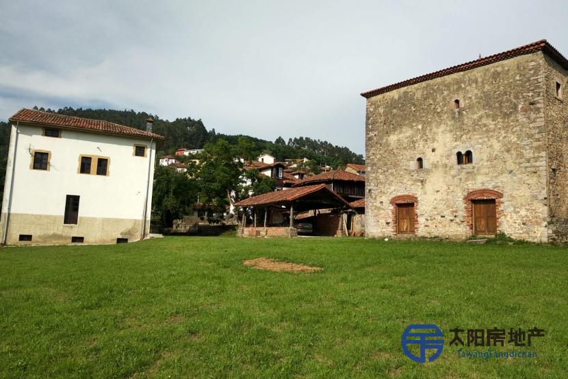 Casa en Venta en San Roman De Candamo (Asturias)