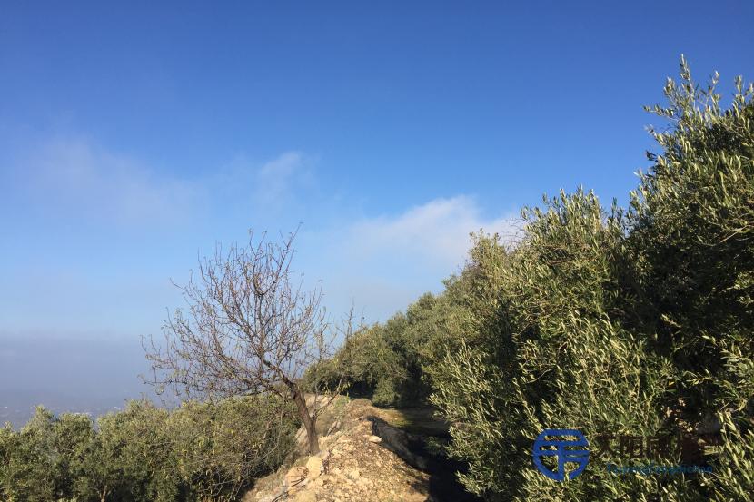 Finca a 15 minutos de la sierra y a 15 minutos de la playa