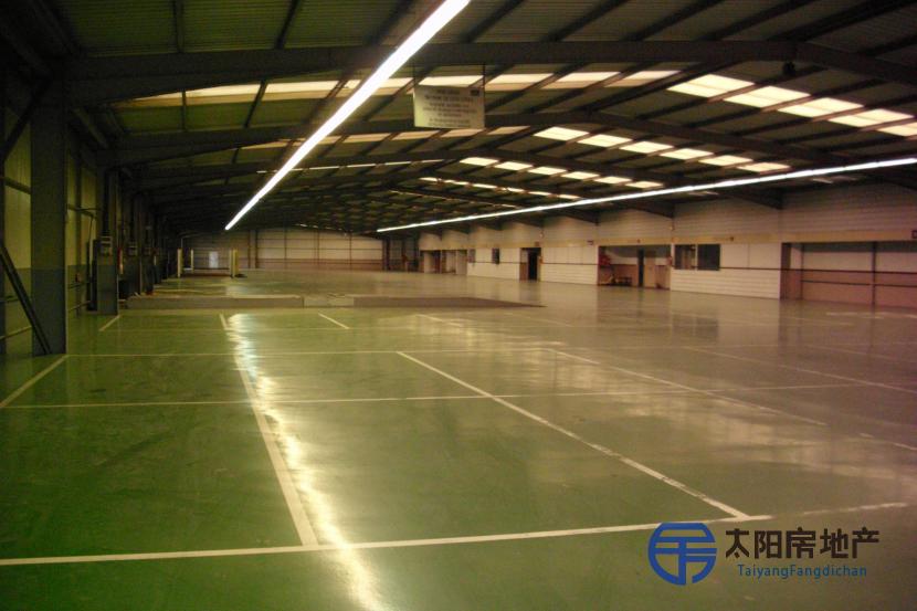 Nave Industrial en una zona estratégica en venta en Vizcaya