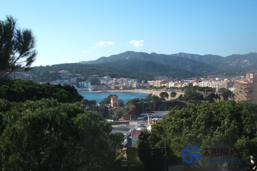 Terreno con vistas al mar. 拥有海景的土地。  Yǒngyǒu hǎijǐng de tǔdì.