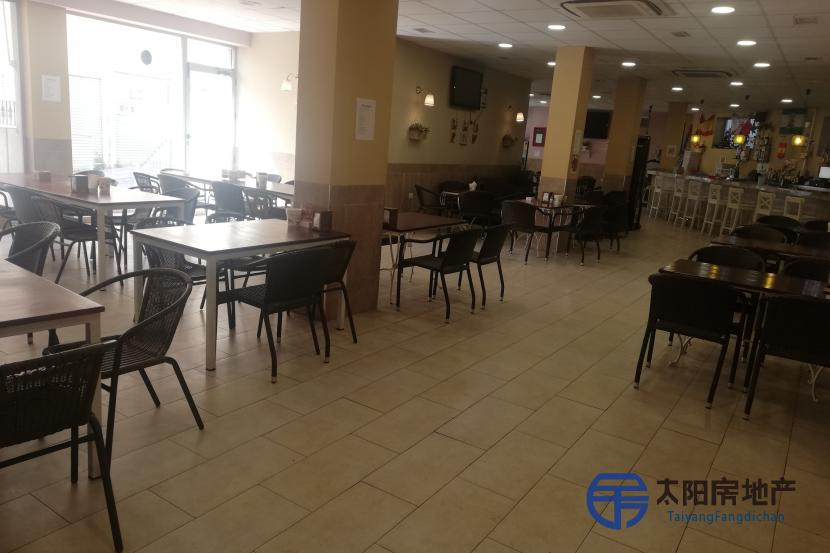 CAFETERIA A PLENO RENDIMIENTO